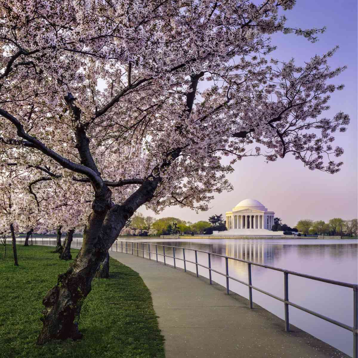 Un viaggio memorabile negli USA: dall’epopea nazionale al cuore pulsante della East Coast 1 Viaggi Organizzati Meraviglie USA